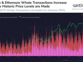 比特币和以太坊相继创出历史新高。我们应该注意哪些数据?