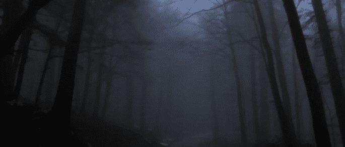 Gary Gensler：SEC 正尽力为投资者“保驾护航”