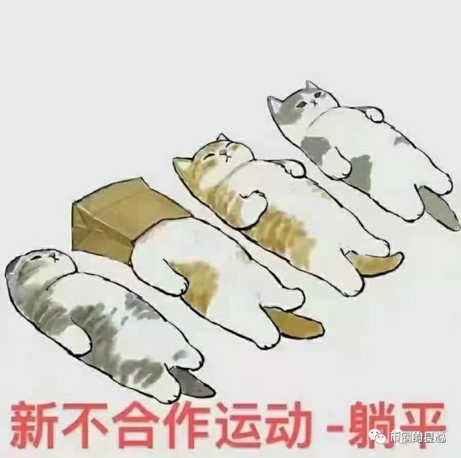 假如你在正确的路上，躺平就好了！