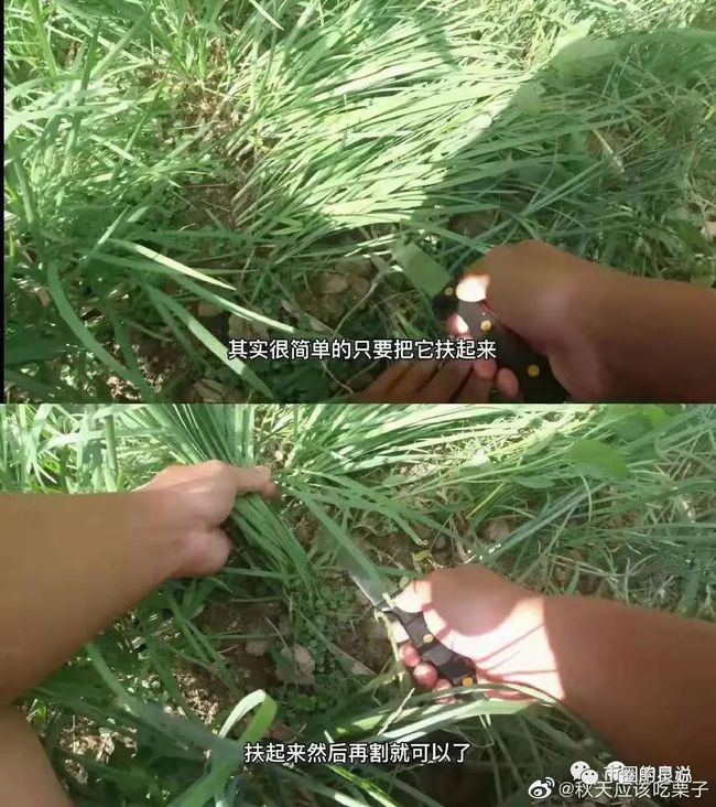 假如你在正确的路上，躺平就好了！