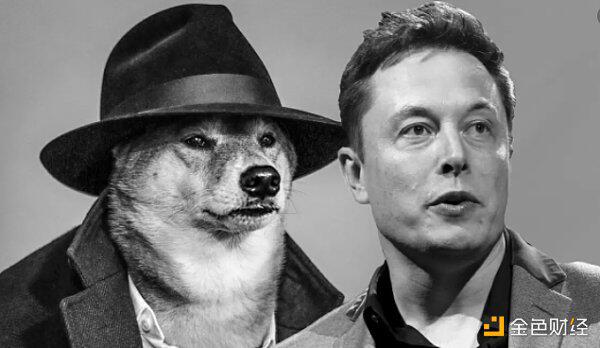 狗币访谈：和埃隆·马斯克协作是一种怎样的体会？