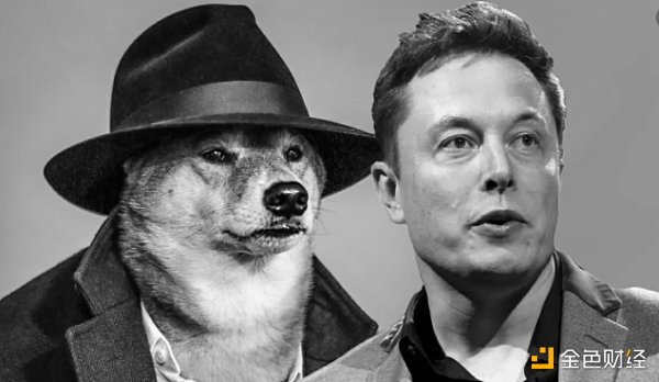 狗币访谈：和埃隆·马斯克合作是一种怎样的体验？