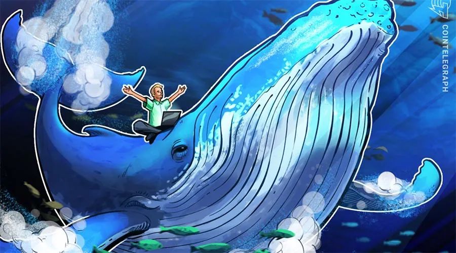 %title插图%num 比特币巨鲸的盛宴,BTC及整个加密市场陷入崩盘