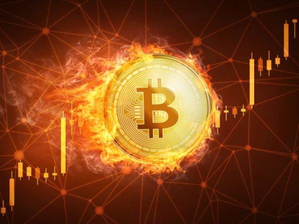 币国际-美国银行基金司理查询，27% 看涨 比特币 排名榜首