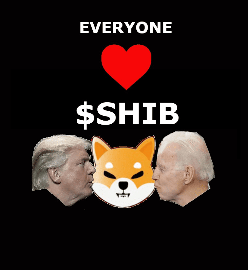 感染“狂犬病”的 SHIB，搏傻仍是庶民的成功？