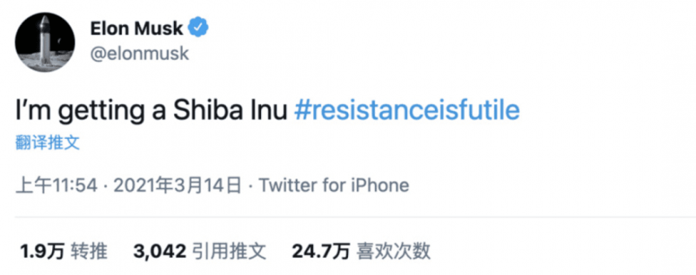 感染“狂犬病”的 SHIB，搏傻仍是庶民的成功？