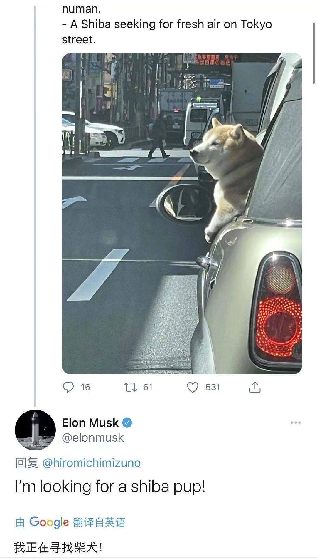 狗币之后，柴狗币又红了！一个月涨100倍，有人3000元赚了60万？