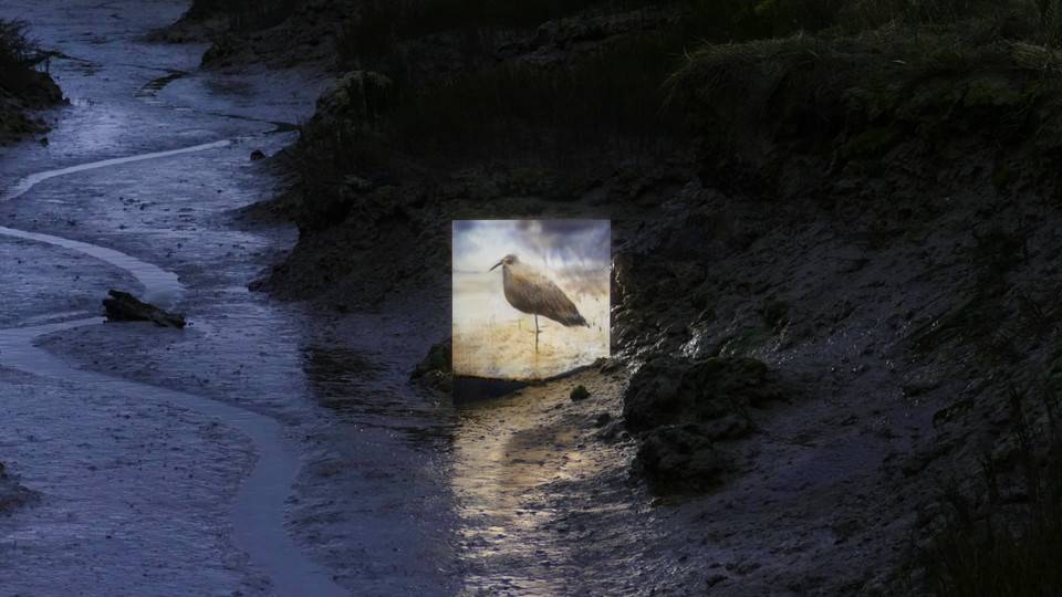 论坛预告 | 21 世纪下一个伟大的艺术家来自计算机算法？