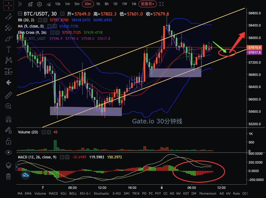 币国际-【合约日报】BTC冲高回落有望反弹，DOGE继续上涨再创新高