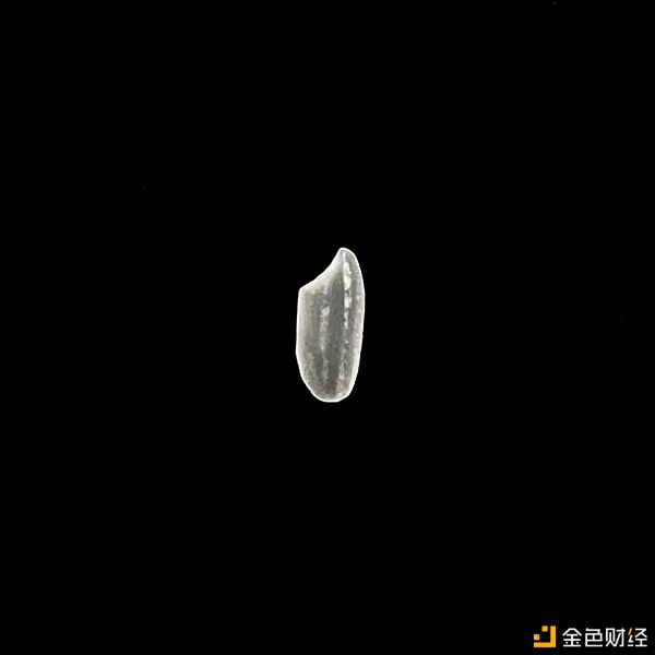 CryptoVoxels上的虚拟国际周游者