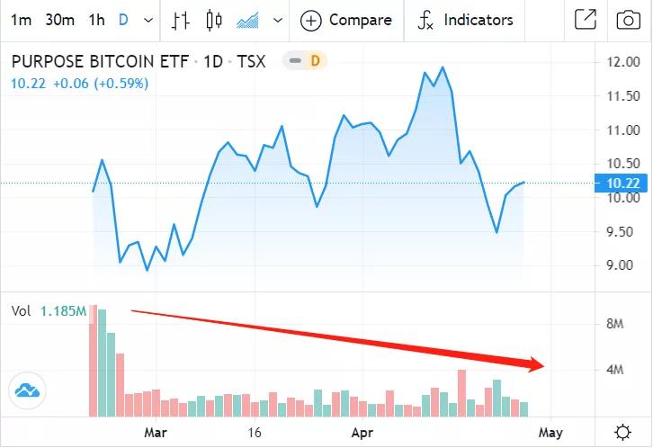币国际-“永久牛市”建立的三个理由
