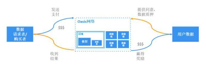 隐私技术网络 Oasis 新进展：主网完成 Cobalt 升级， Parcel SDK 上线