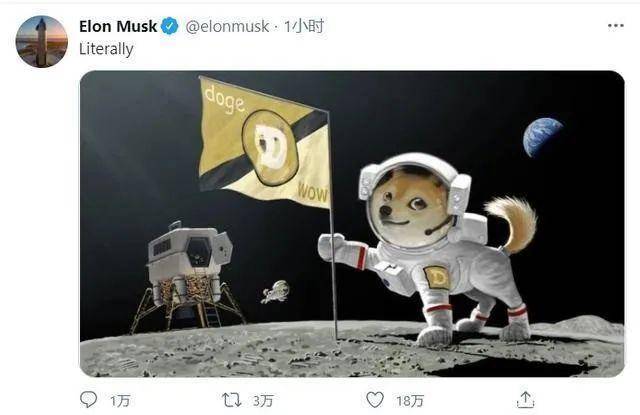 币国际-狗狗币兴起史：4年暴升2100倍？盘点小狗狗生计的5次高光时间