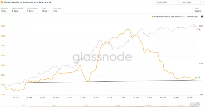 熊市警告！市场指标显示，比特币牛市可能已经见顶