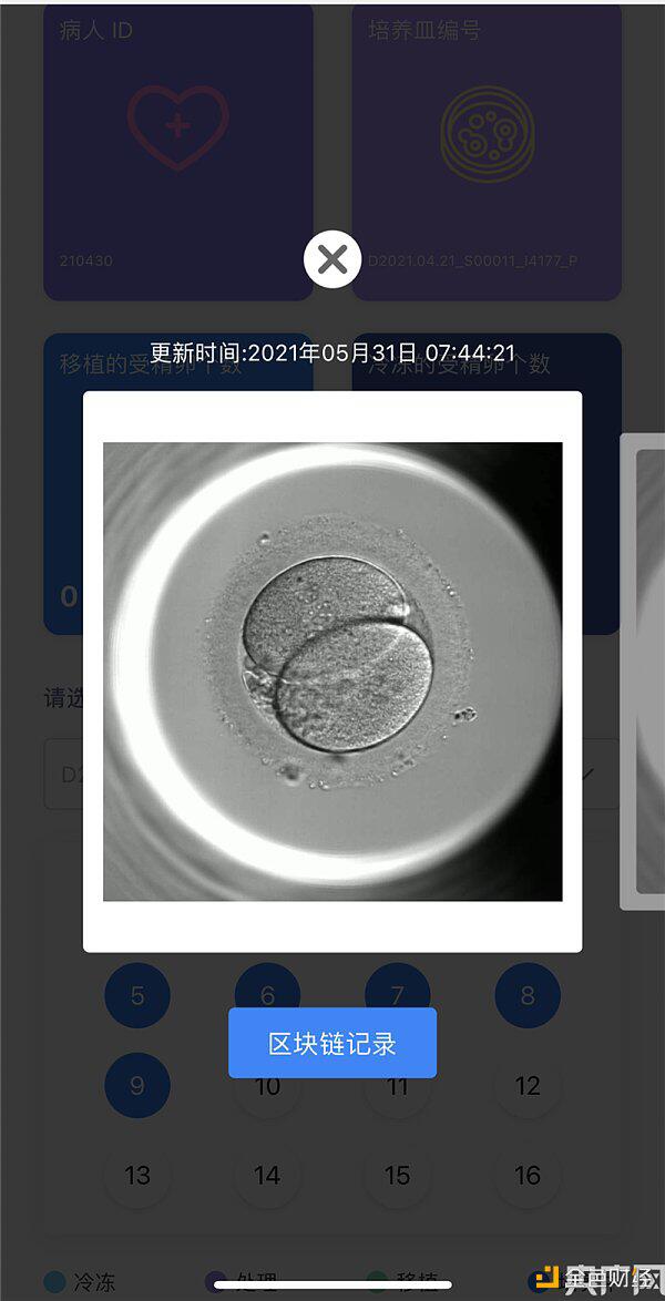 用区块链技能进行胚胎可视化 仁济医院为国内首家