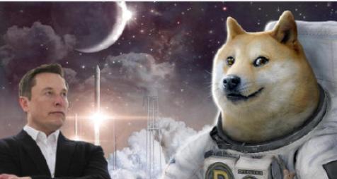 狗狗币暴升超60%，年内涨幅超10倍